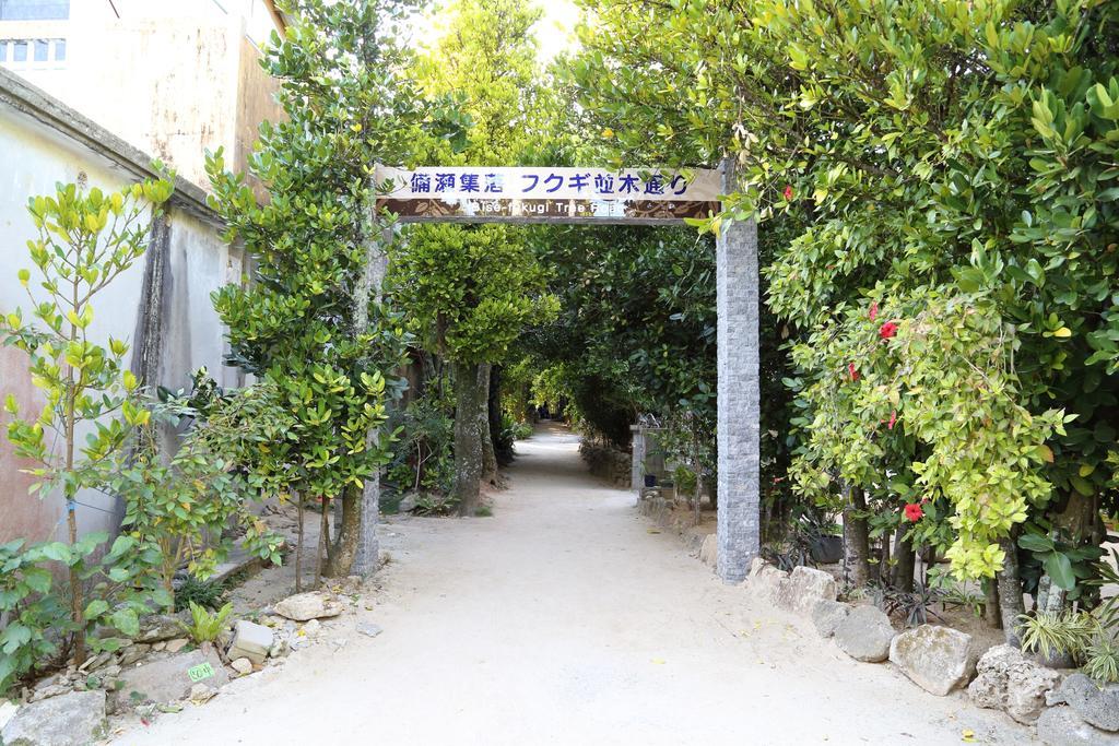 فيلا Tabinoteitaku Okinawa Bise Homann Concept موتوبو المظهر الخارجي الصورة